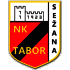 Logo Tabor