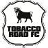 Logo Tobacco Road FC