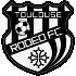 Logo Toulouse Rodeo F.C