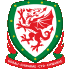 Logo Wales U19