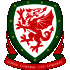 Logo Wales U21