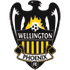 Logo Wellington Phoenix B