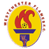 Logo Westchester Flames