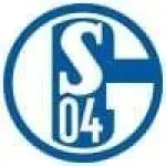 Avatar schalke04